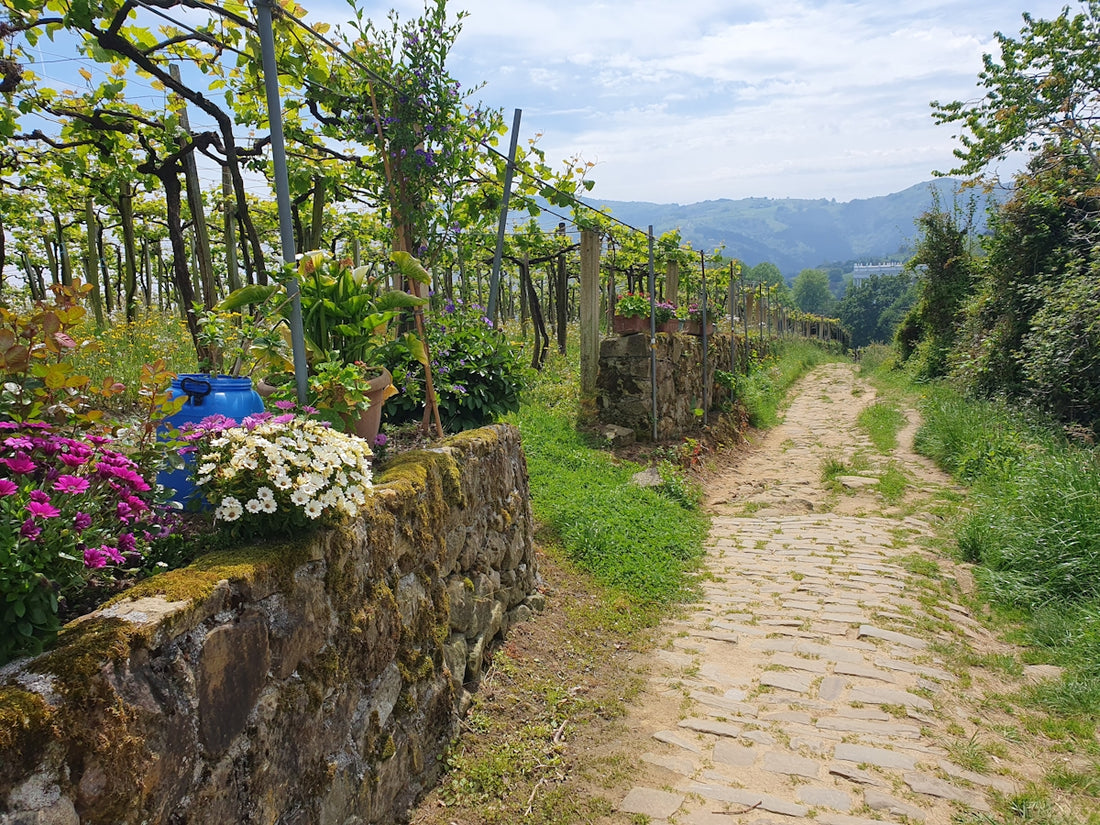 a stone path leading to a lush green hillside